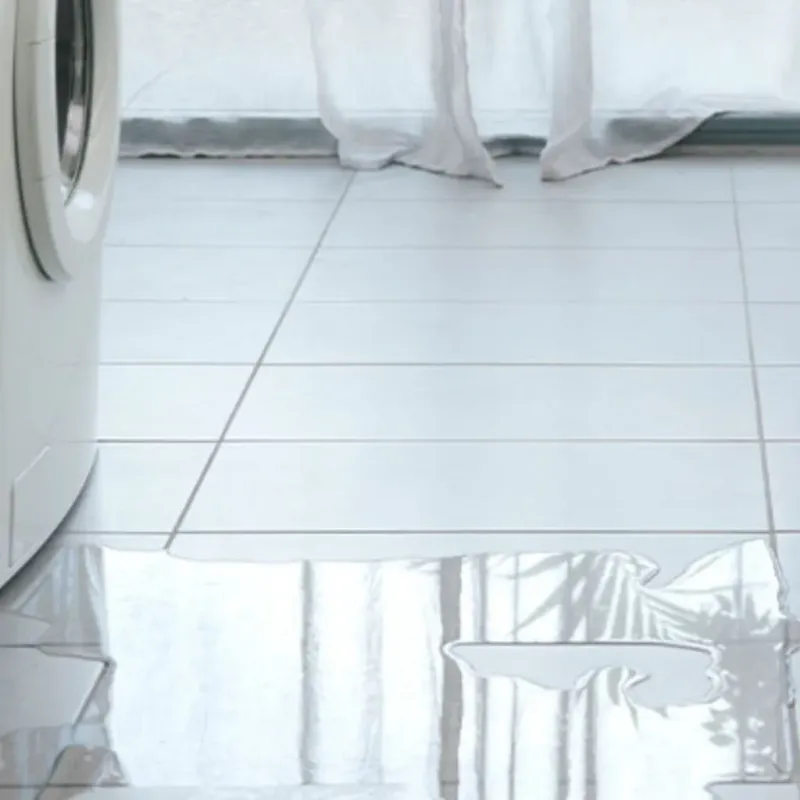 Appliance Leak Cleanup in Chester County, SC