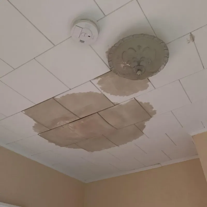 Ceiling Water Damage Repair in Chester County, SC